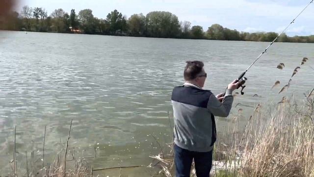 Дикие лошади в природе где обитают в россии смотреть онлайн