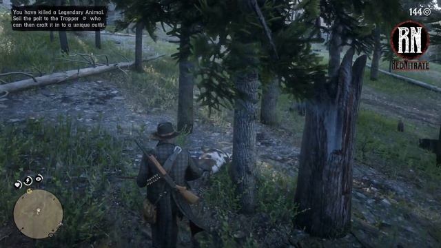 RDR2 Legendary Buck and Buck Antler Trinket guide | Improve pelt quality | Red Dead Redemption 2 смотреть онлайн