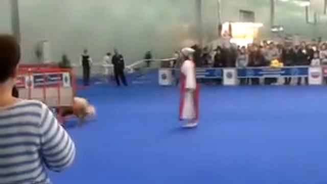 Россия 2012 Пастушья служба смотреть онлайн