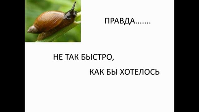 Увеличение посещаемости для бесплатников. Приложение "Запросы с устройств" смотреть онлайн