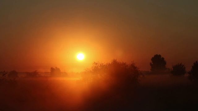 Исцеляющая медитация для души и тела | Музыка для медитации | Звуки релакса смотреть онлайн