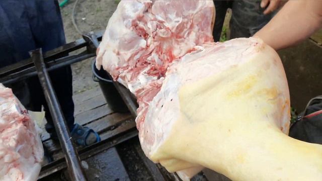 Разделка свиней)) Свиноводство скот и птица смотреть онлайн