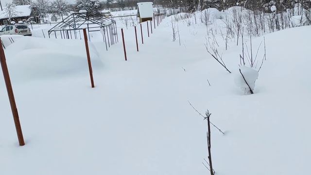 контроль кормов. что же все-таки лучше канди или сироп. смотреть онлайн