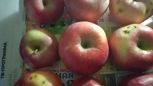 угостили вкусными яблочками красные ????????????? смотреть онлайн