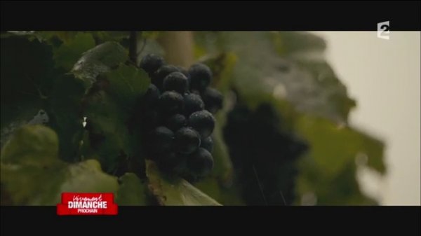 Mika - Vivement Dimanche Prochain - 13.09.2015 (1/2)