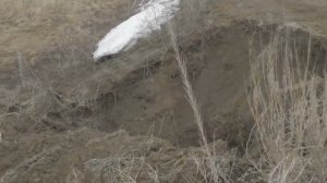 Видеоотчет.  Симаковский  пруд.  26. 04. 2023