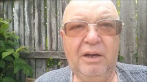 Цинк  Зачем он нужен винограду