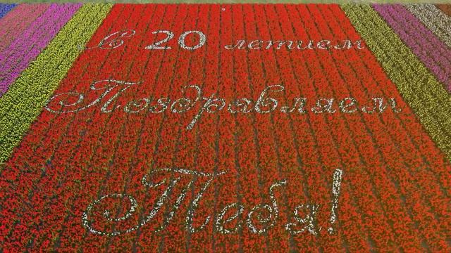 С Днем Рождения, Анастасия! смотреть онлайн