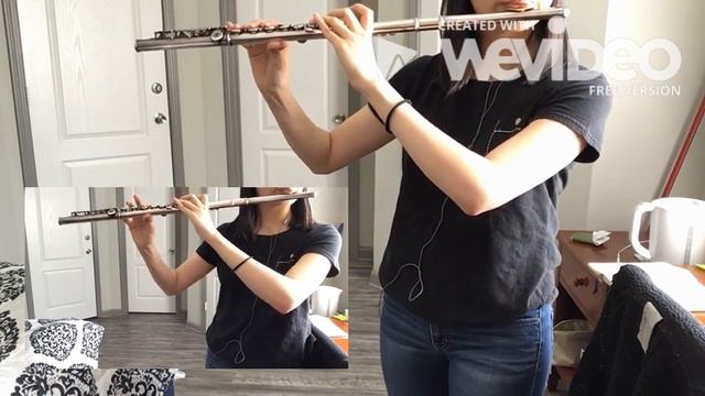 The Untamed OST: Zui Meng- Flute Cover смотреть онлайн