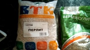 Кедр укоренение 10 летних веточек, а также 1 2 летних черенков, размножение хвойных черенкование