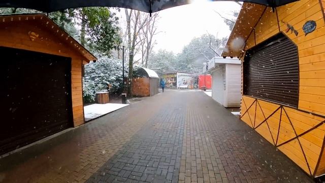 Шок у мимозы! Парк в снегу и блогерах))! Лазаревское 22.12.2021.?ЛАЗАРЕВСКОЕ СЕГОДНЯ?СОЧИ. смотреть онлайн