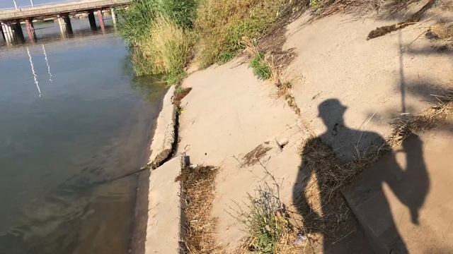 Ловля карася!Оросительный канал!#рыбалка #карась #рыбалка2022 #рыбалканадонки #