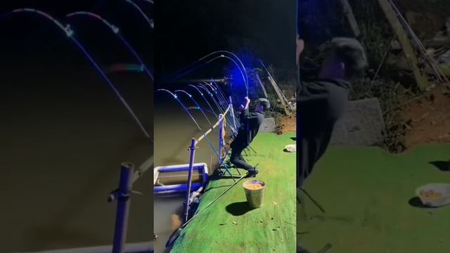 ? ПРИДУМАЙ НАЗВАНИЕ ЭТОГО ВИДЕО ПРО РЫБАЛКУ ?. ПОЛУЧИ ПРИЗ ?.#рыбалка #fishing #рибалка #рыба #fish смотреть онлайн