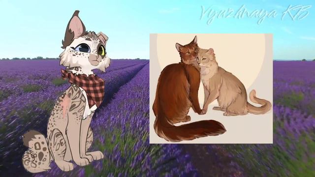 Окрас Листвички?В чём подвох?😨Мои теории по Котам-воителям смотреть онлайн