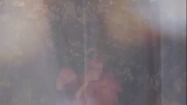 СТИХИ О ЛЮБВИ - Сборник лучших стихотворений автора Соколов В.Ю смотреть онлайн