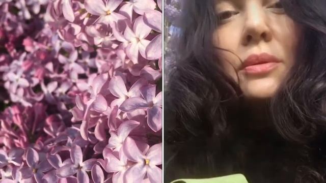 Сирень расцвела / итоги мая смотреть онлайн