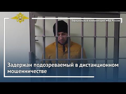 Ирина Волк: В Подмосковье полицейские задержали подозреваемого в дистанционном мошенничестве смотреть онлайн