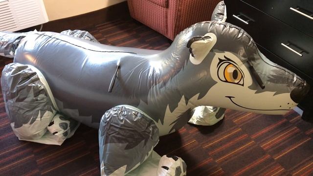 Popping Large Inflatable Wolf!