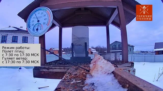 Прямая трансляция из кормушки #температура #влажность #московскаяобласть #онлайн #трансляция смотреть онлайн