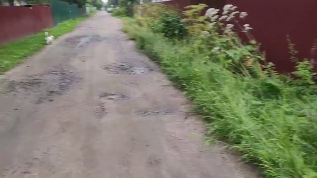 Купили листы и трубы для забора/все успели сдать/муж приваривает трубы. смотреть онлайн