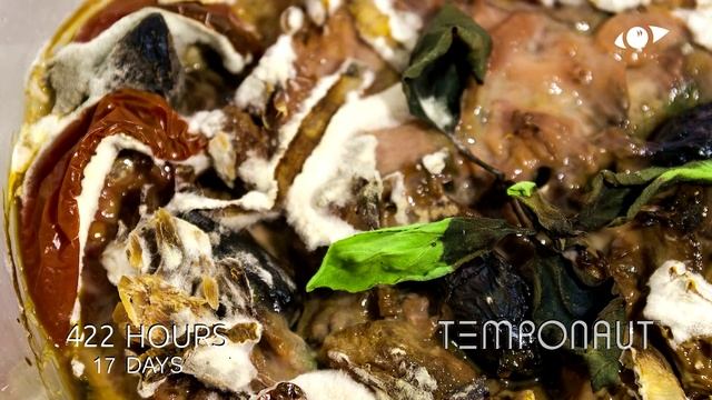 Salad Bowl Timelapse смотреть онлайн