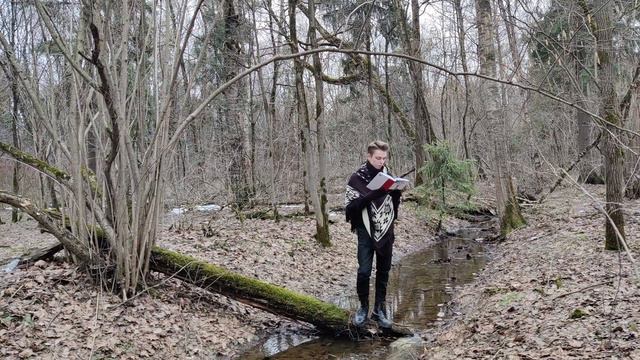 Франсуа Рабле: Алхимический вояж к Дионису смотреть онлайн