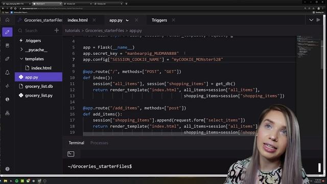 Flask SQLite Web Application Step by Step Tutorial - HTML, Jinja, CSS, JavaScript, Python смотреть онлайн