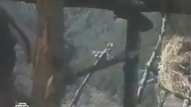 Военное дело. Холодное оружие - ножи смотреть онлайн