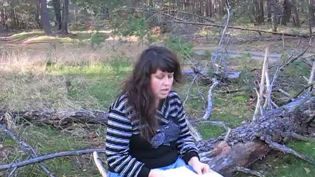 Стихотворение УРАГАН эмоций смотреть онлайн
