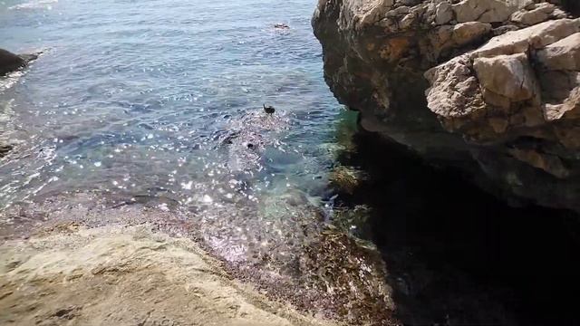 Италия,пляж. Мурена, морской еж смотреть онлайн