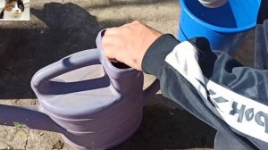 Как использовать и применять Байкал ЭМ 1 в огороде для почвы осенью