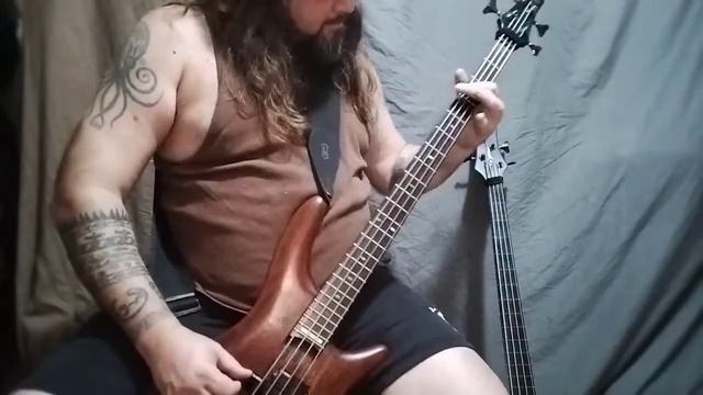 "Rain When I Die" by Alice in Chains Bass Cover смотреть онлайн