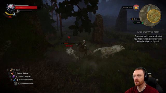 The Woodland Spirit | The Witcher 3: Wild Hunt | (Blind) Let's Play - Part 96 смотреть онлайн