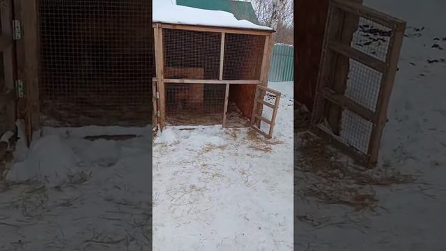 Video 20210317 145744