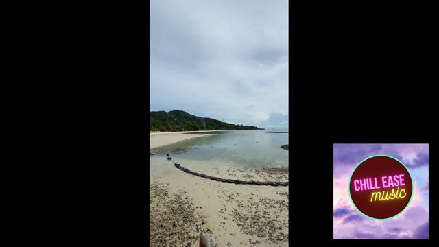 Keep This Feeling - Milva (nocopyright Music)