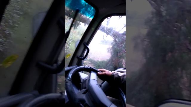 Кема _Терней тайфун смотреть онлайн
