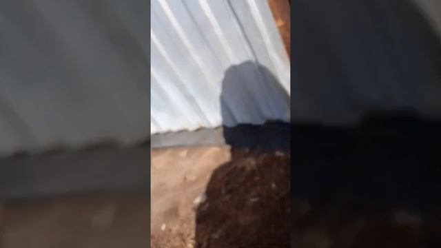 ?????это оно!?он?! смотреть онлайн