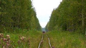 АУЖД. ТУ4-3088 в новом окрасе с пассажирским поездом Строкинка - Синячиха