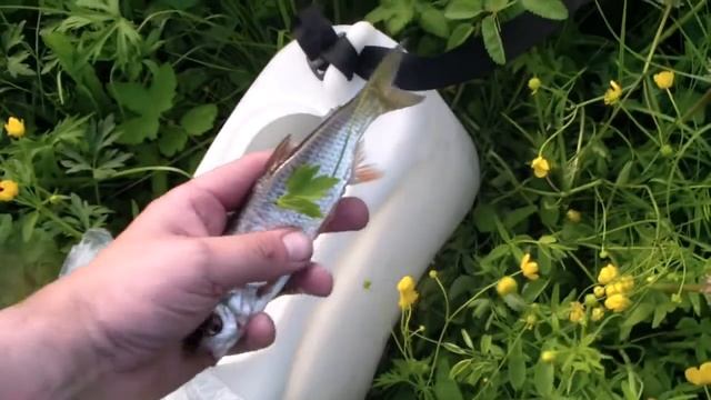 Летняя Рыбалка р Купа Восточная Сибирь Иркутская обл 18 19 июня 2018 г смотреть онлайн