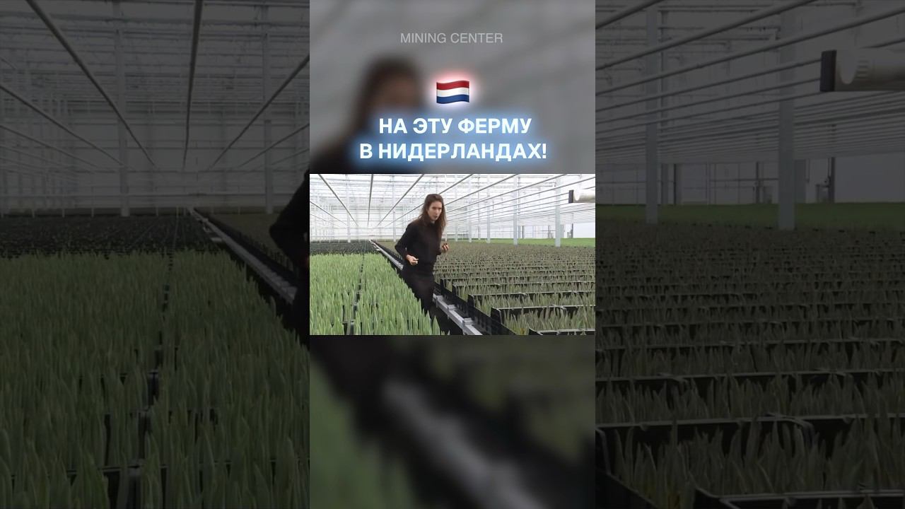 Майнинг для содержания теплицы! #майнинг #криптовалюта #биткоин #теплица #деньги #бизнес #асик #btc смотреть онлайн