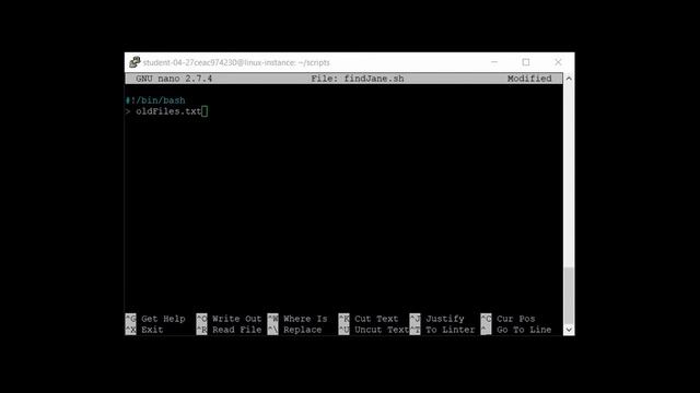 6. Editing Files: Find files using bash script, rename files using Python script, cat, grep, and cu смотреть онлайн