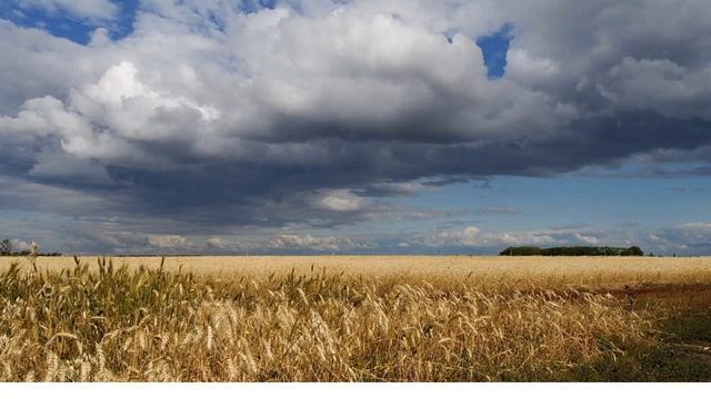 Народные приметы на июль. смотреть онлайн