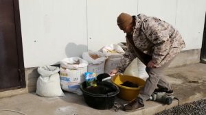 Корм для перепелов своими руками в домашних условиях