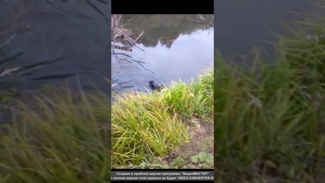 КУРЦХААР РАЛЬФ 4 МЕСЯЦА смотреть онлайн