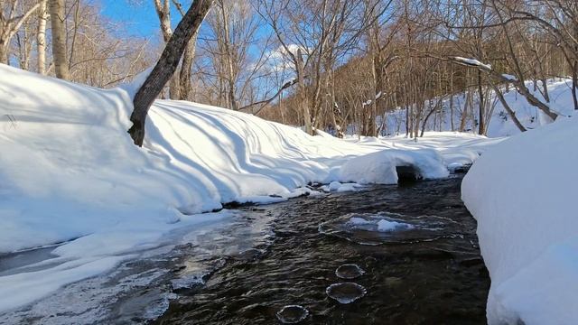 Расслабляющие звуки природы / Шум лесной реки для отдыха, сна, медитации. смотреть онлайн