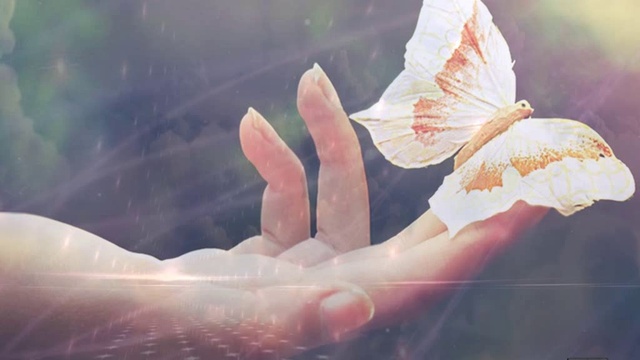 НЕБО НОМЕР СЕМЬ - ДЕНИС МАЙДАНОВ смотреть онлайн