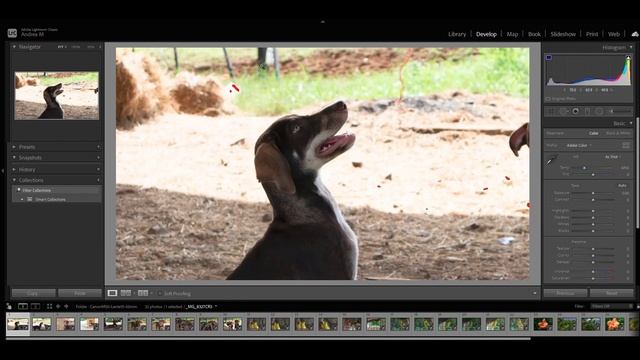 ? Sorpréndete de las FOTOS que puedes hacer ? CANON M50 - LENTE de KIT 15-45mm ✍ [LIGTHROOM] смотреть онлайн