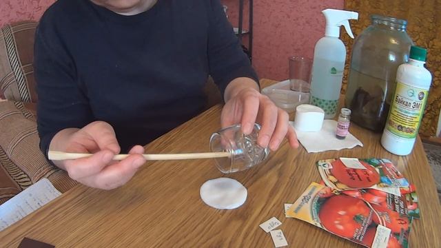 Как прорастить семена томатов и перцев. 100% способ! смотреть онлайн