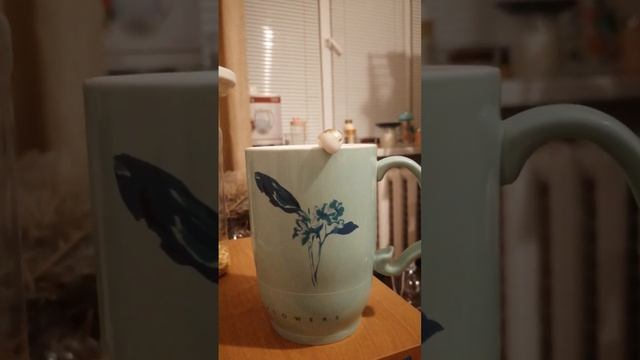 Аббадону и его бывшей. смотреть онлайн