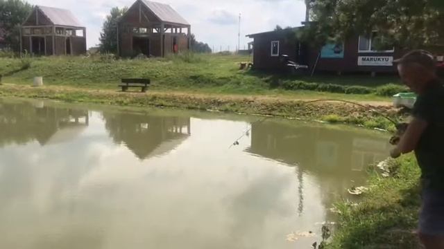 Африканский сом - онлайн смотреть онлайн